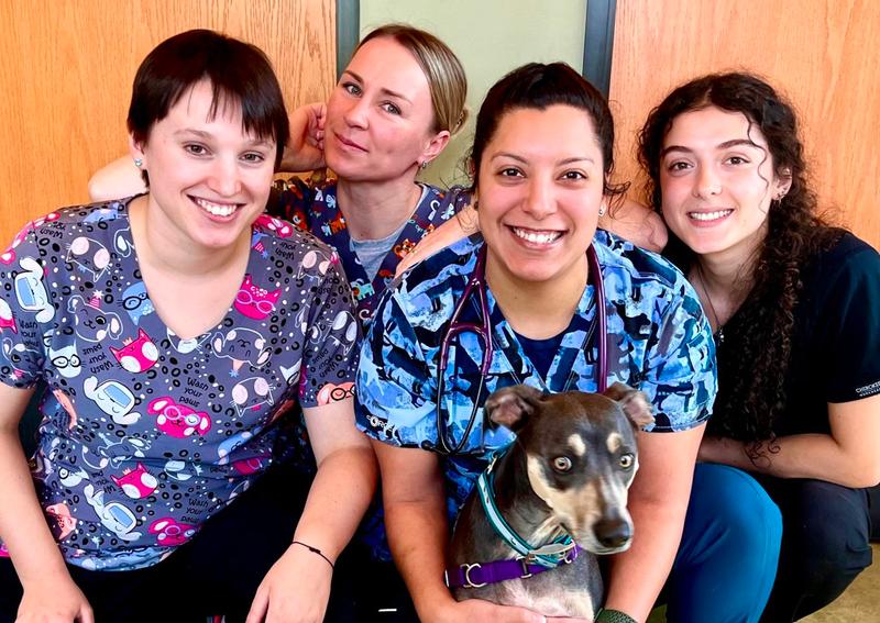 Rosedale Veterinary Clinic | Austin veterinarians